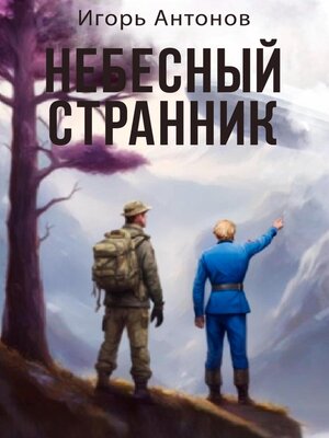 cover image of Небесный странник